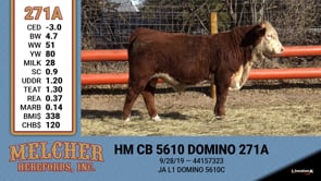 Lot #271 - HM CB 5610 DOMINO 271A
