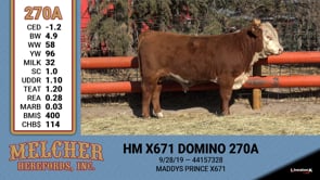 Lot #270 - HM X671 DOMINO 270A