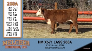 Lot #268 - HM X671 LASS 268A