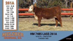 Lot #261 - HM 7485 LASS 261A