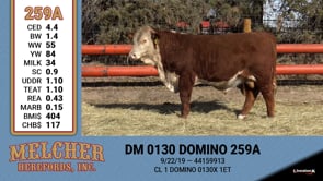 Lot #259 - DM 0130 DOMINO 259A
