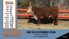 Lot #254 - HM 5610 DOMINO 254A