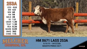 Lot #253 - HM X671 LASS 253A