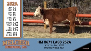 Lot #252 - HM X671 LASS 252A