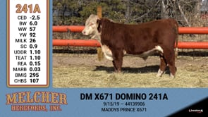 Lot #241 - DM X671 DOMINO 241A