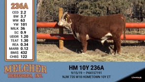 Lot #236 - HM 10Y 236A
