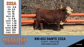 Lot #232 - KM 652 DANTE 232A