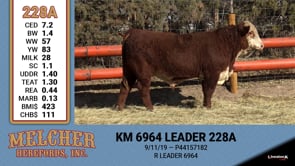 Lot #228 - KM 6964 LEADER 228A