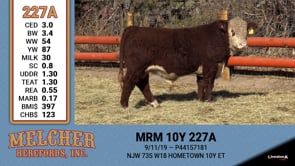 Lot #227 - MRM 10Y 227A