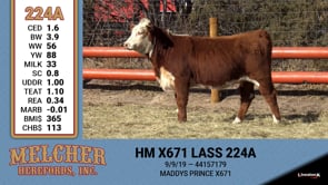 Lot #224 - HM X671 LASS 224A