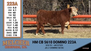 Lot #223 - HM CB 5610 DOMINO 223A