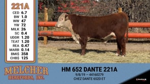 Lot #221 - HM 652 DANTE 221A