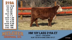 Lot #219 - HM 10Y LASS 219A ET