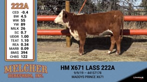 Lot #222 - HM X671 LASS 222A