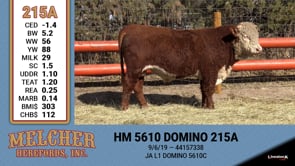 Lot #215 - HM 5610 DOMINO 215A