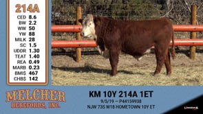 Lot #214 - KM 10Y 214A 1ET