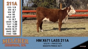 Lot #211 - HM X671 LASS 211A