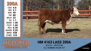 Lot #200 - HM 4163 LASS 200A