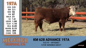 Lot #197 - KM 628 ADVANCE 197A