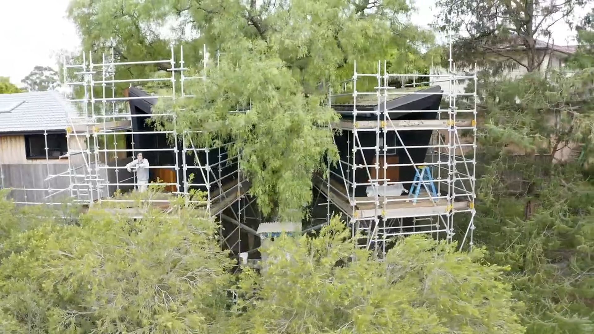 Pepper Tree: Cladding Update