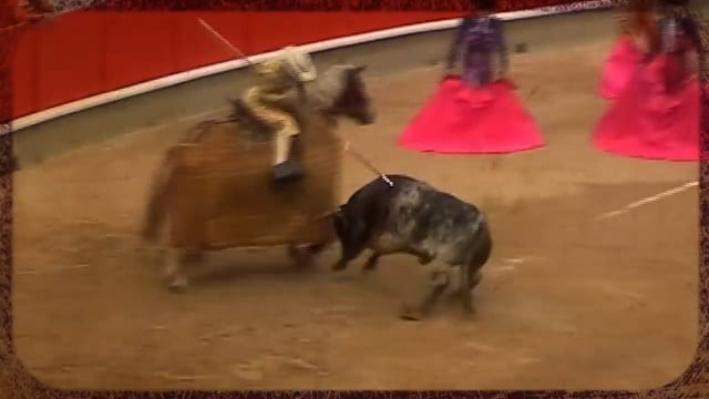 Running of the Bulls Bulls Tortured, Stabbed to Death PETA photo