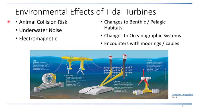 Pelagic Energy