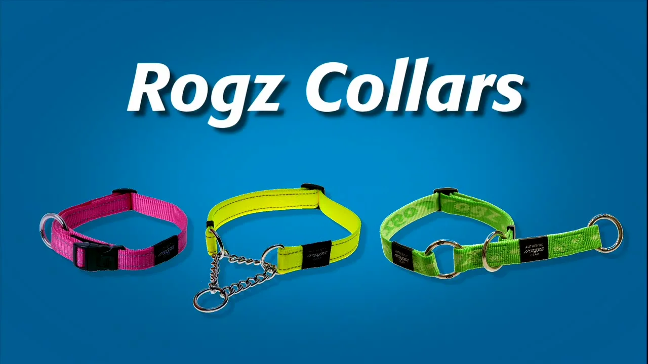 Rogz 2024 control collar