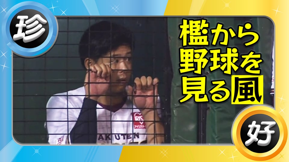 檻から野球を見たり、色々【6月・7月(珍)】