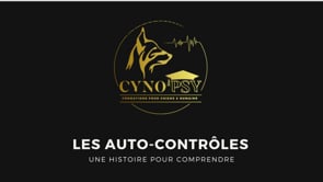 Une histoire pour comprendre : Les auto-contrôles