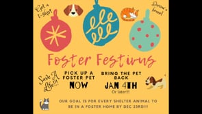 Foster Festivus