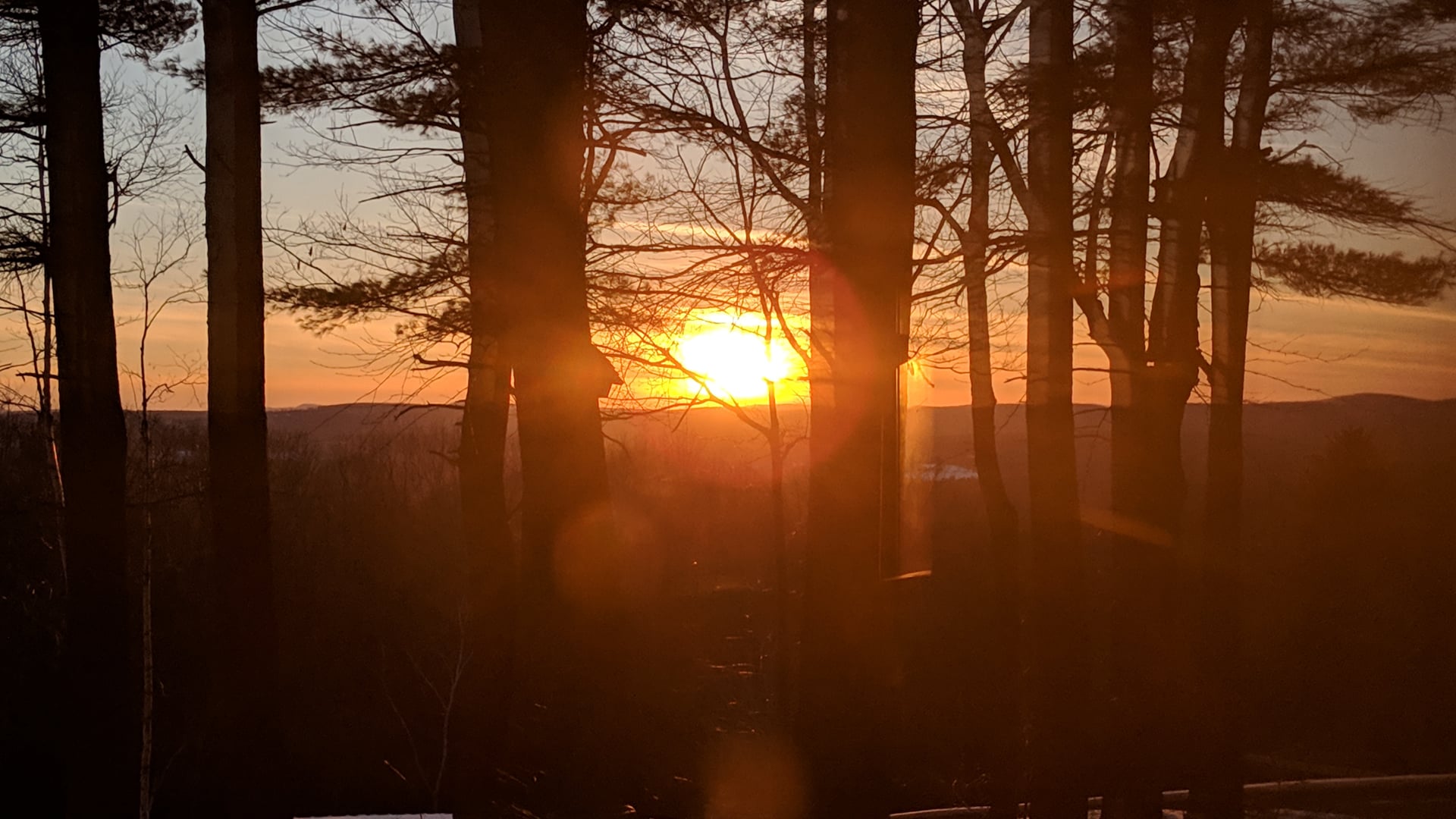 2020 December 07: Third Noble Truth