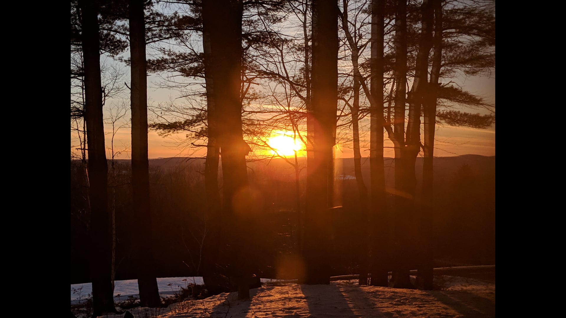 2020 December 07: Third Noble Truth