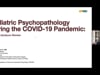 December 11, 2020: "Pediatric Psychopathology During the COVID-19"
