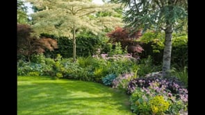 Hester Forde - touring her garden in Cork