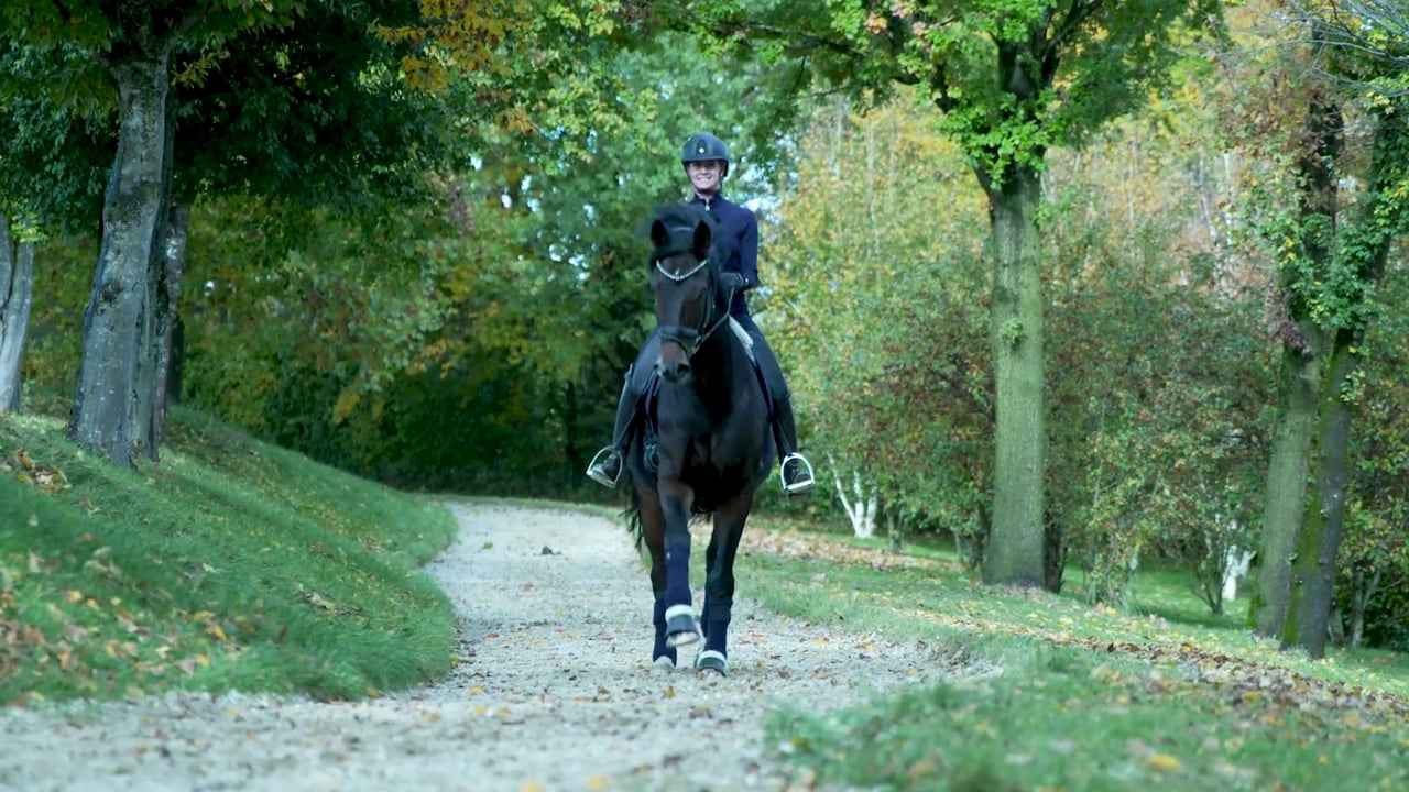 Richtig Reiten mit Jessica von Bredow-Werndl - Teil 1 - präsentiert von der NÜRNBERGER VERSICHERUNG