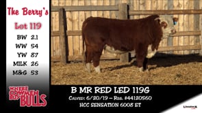 Lot #119 - B MR RED LED 119G