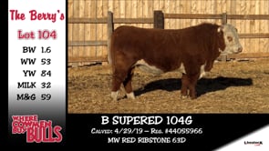 Lot #104 - B SUPERED 104G