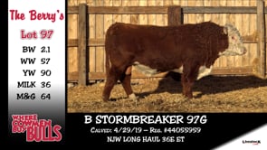 Lot #97 - B STORMBREAKER 97G