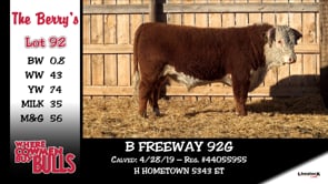 Lot #92 - B FREEWAY 92G