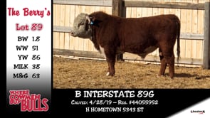 Lot #89 - B INTERSTATE 89G