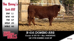Lot #88 - B 616 DOMINO 88G