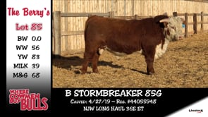 Lot #85 - B STORMBREAKER 85G