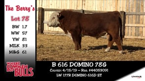 Lot #78 - B 616 DOMINO 78G