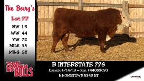 Lot #77 - B INTERSTATE 77G