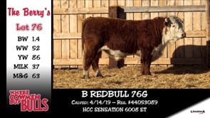 Lot #76 - B REDBULL 76G