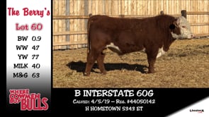 Lot #60 - B INTERSTATE 60G