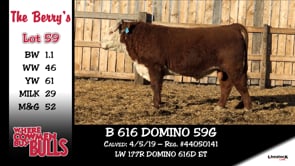 Lot #59 - B 616 DOMINO 59G