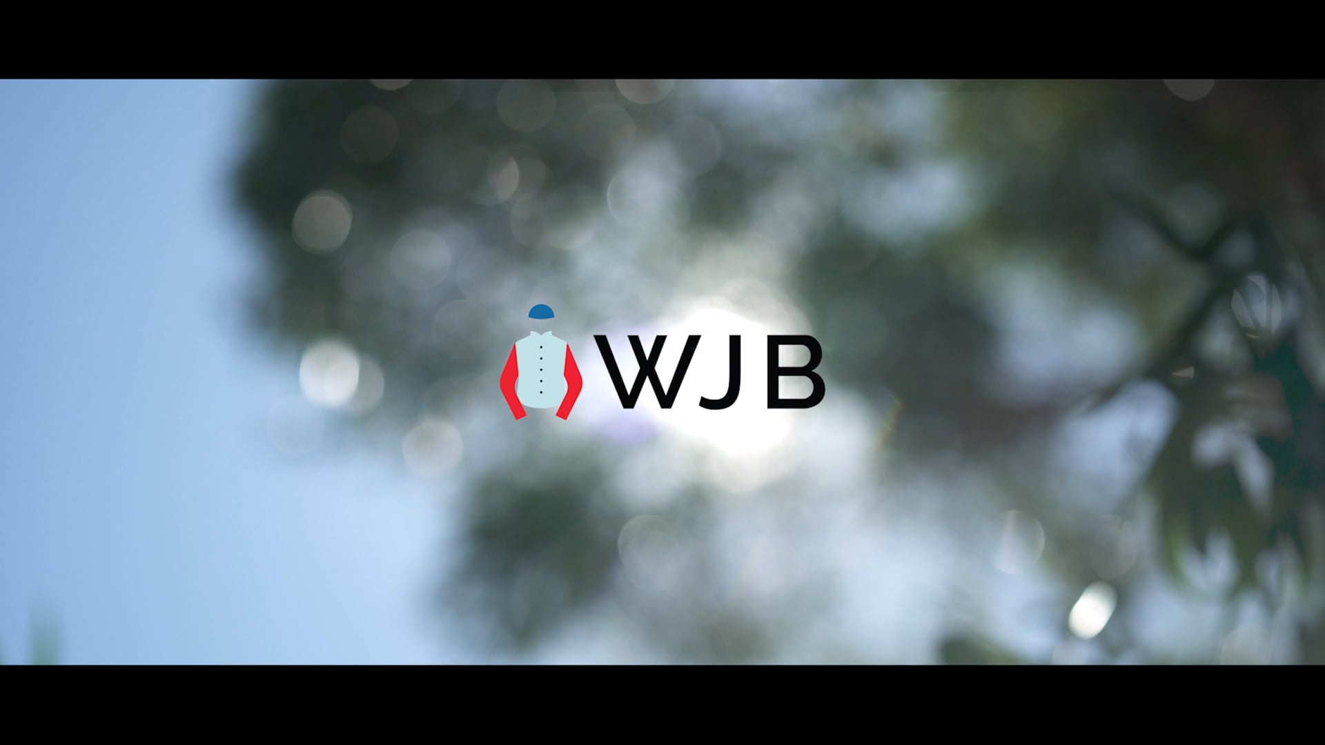 Will Johnson Bloodstock