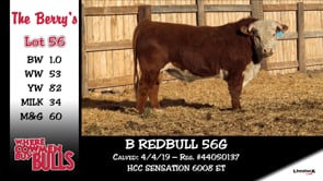 Lot #56 - B REDBULL 56G