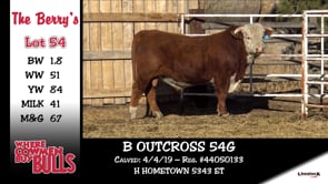 Lot #54 - B OUTCROSS 54G